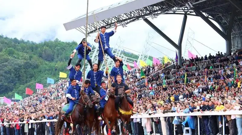 加州星球领,先锁定最佳,短途马冠军,香港赛马会官网,赛程安排,赛果查询,马匹资料,赛事资讯