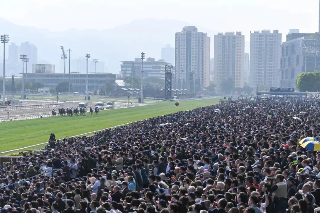 广州黄村国,际马联星级,赛事回归,香港赛马会官网,赛程安排,赛果查询,马匹资料,赛事资讯