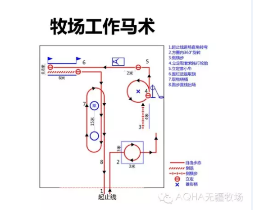 香港马会新,马季期号揭,专家质合分,香港赛马会官网,赛程安排,赛果查询,马匹资料,赛事资讯