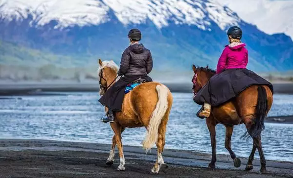 大乐透期号,分析,陈志峰专家,香港赛马会官网,赛程安排,赛果查询,马匹资料,赛事资讯