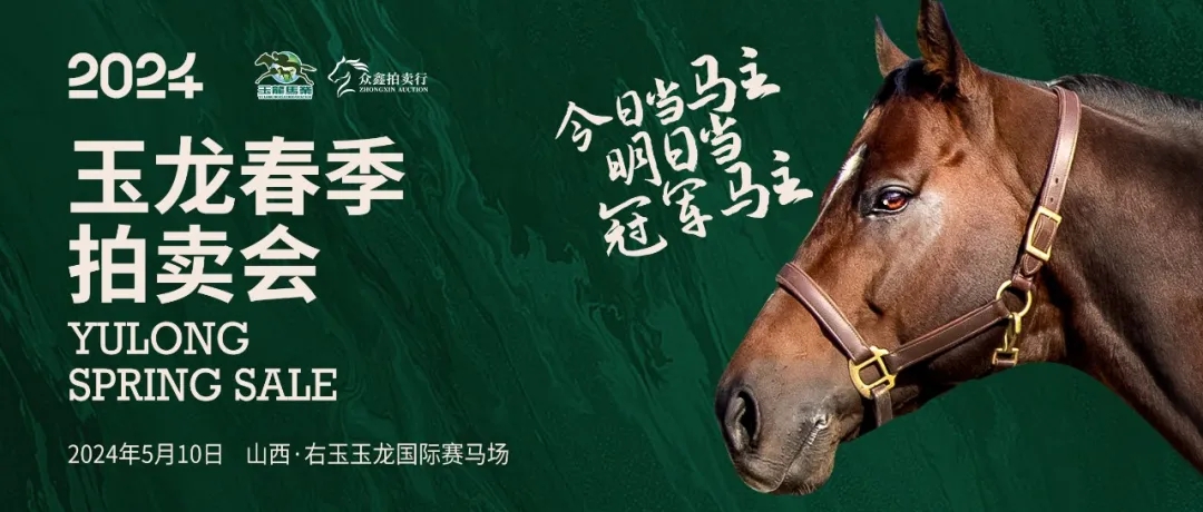 嘉应高升,遨游气泡,携手登顶,香港赛马会官网,赛程安排,赛果查询,马匹资料,赛事资讯