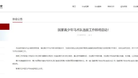 嘉应高升15连冠，浪漫勇士大乐透2177亿奖金