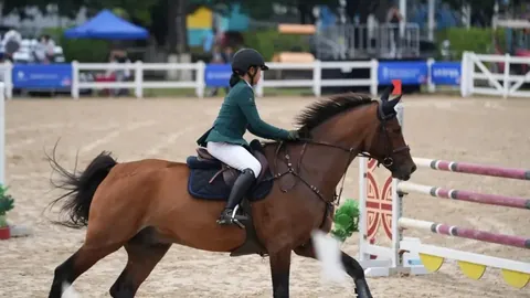 中国选手浪漫勇士日本安田纪念赛夺冠引骄傲